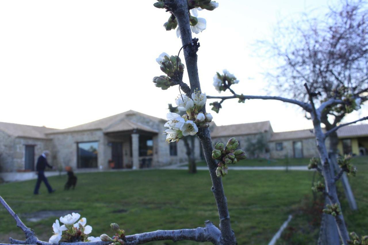 Quinta Da Ribeira Villa Belmonte  Kültér fotó